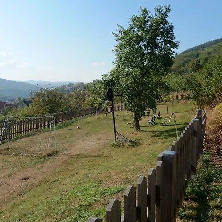 Comfortable Holiday With Fenced Garden In * Natzwiller
