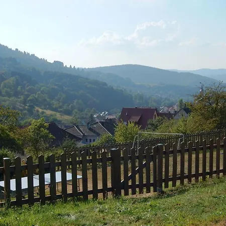 Comfortable Holiday With Fenced Garden In * Natzwiller