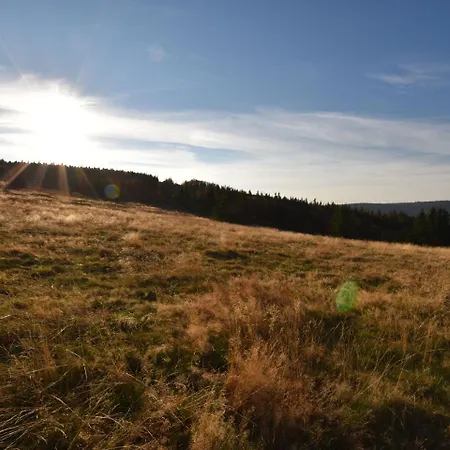 Comfortable Holiday With Fenced Garden In Natzwiller